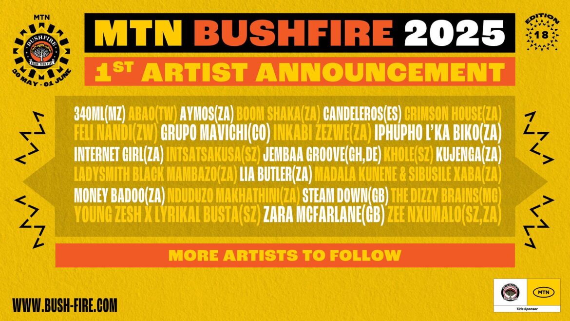 First Wave of Fire! MTN Bushfire 2025 Artist Lineup Drops