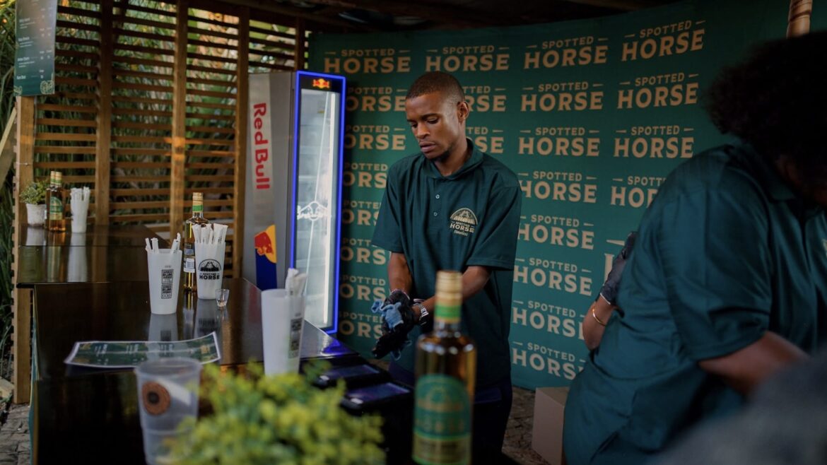 Luju Debut Puts Spotted Horse on Continental Path