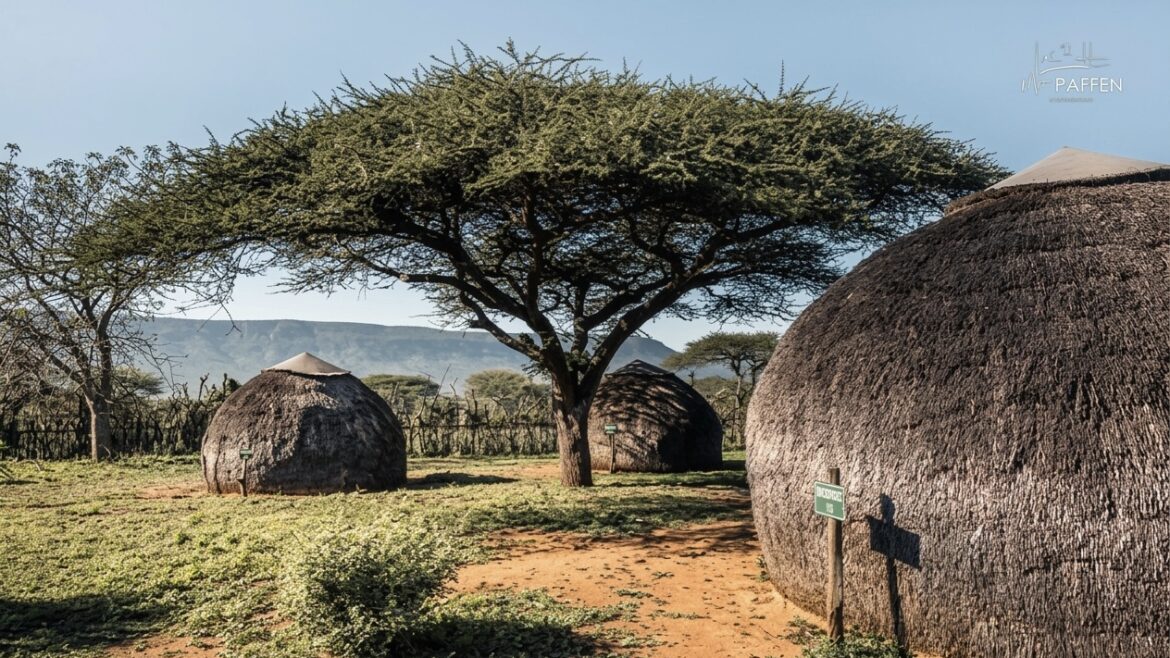Eswatini International Arrivals Up 13.4% in July 2026